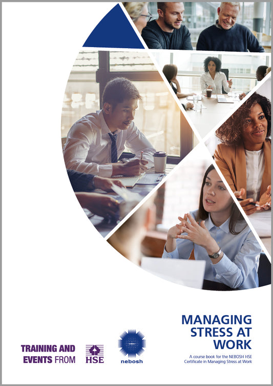 Managing Stress at Work (eBook)