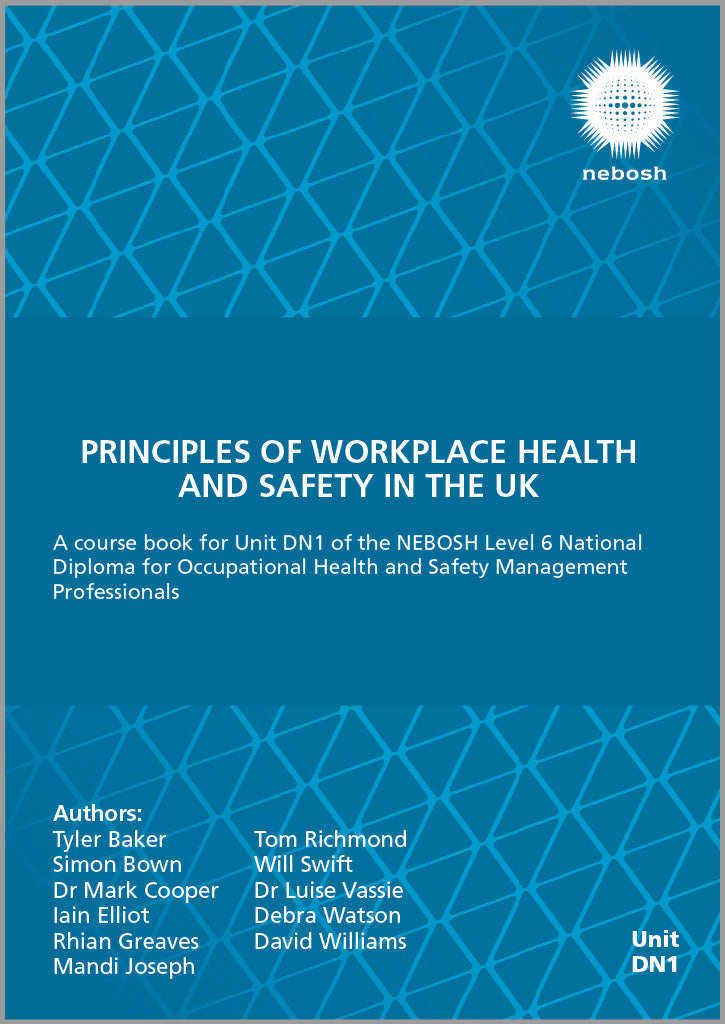 Principles of Workplace Health and Safety in the UK (Consumers eBook)