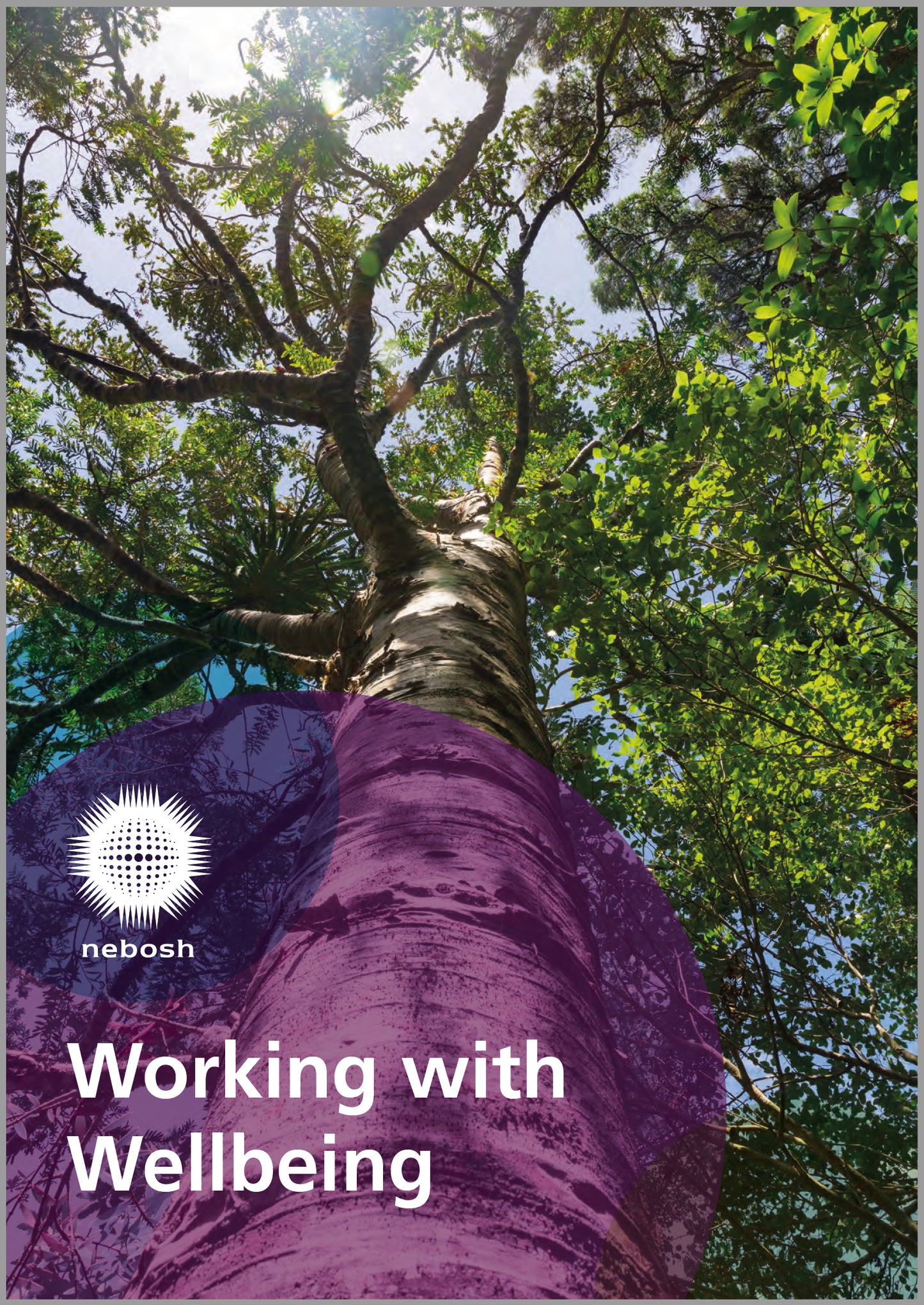 Working with Wellbeing