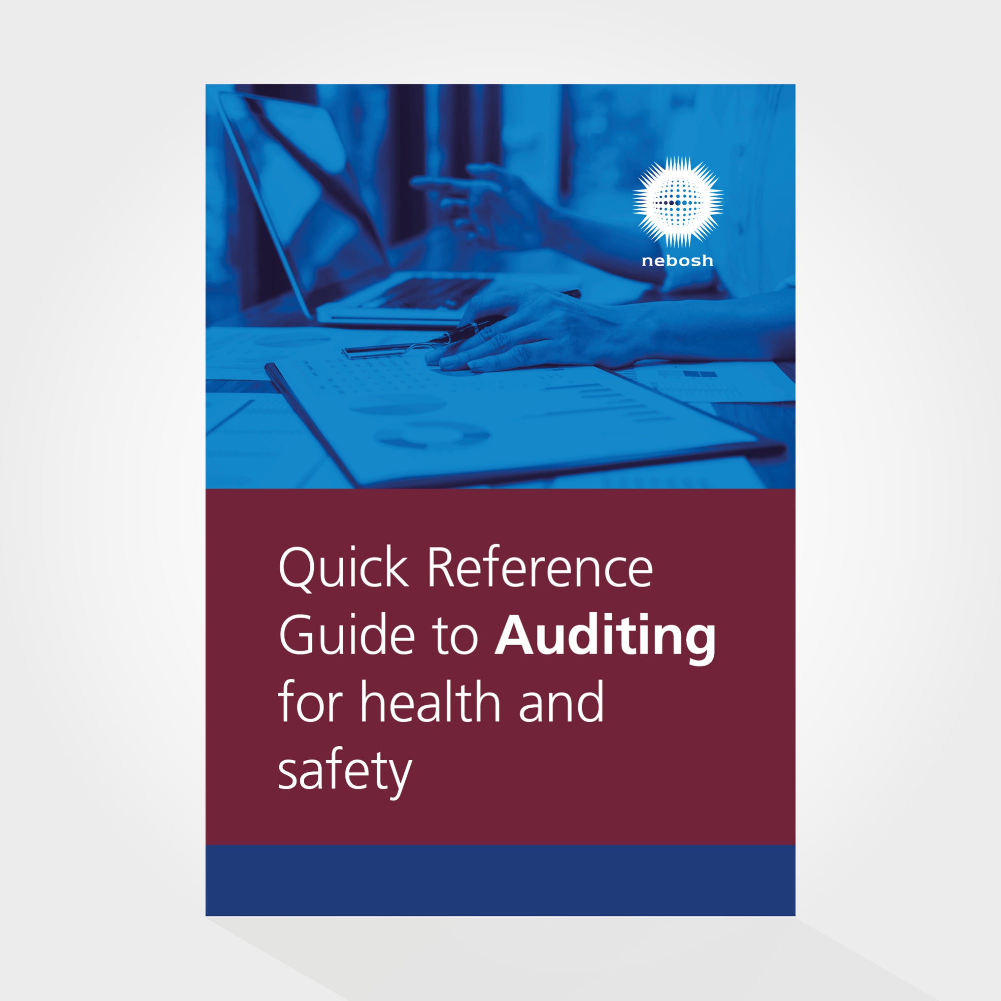 Safety Quick Reference Guide Examples Quick Reference Guide to Auditing for Health and Safety - NEBOSH