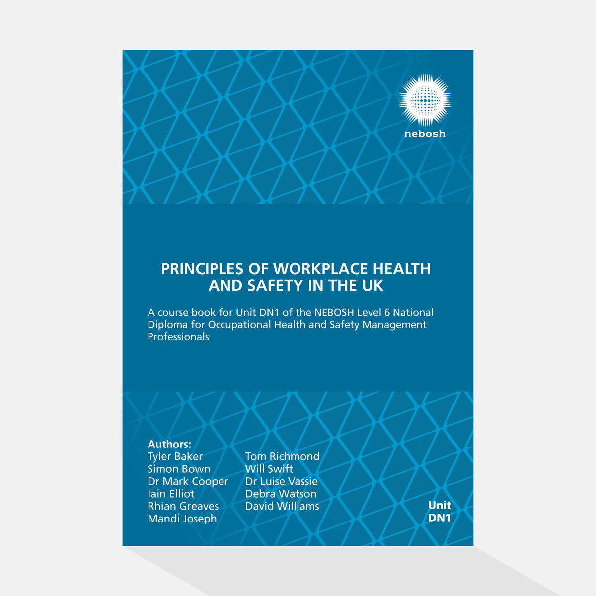 Principles of Workplace Health and Safety in the UK