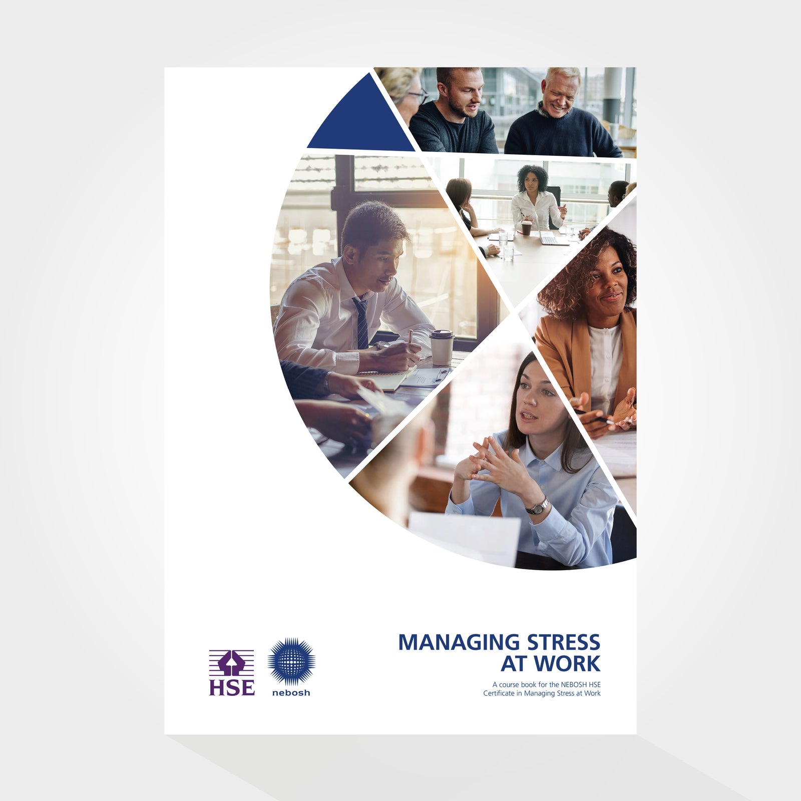 Managing Stress At Work Book Cover