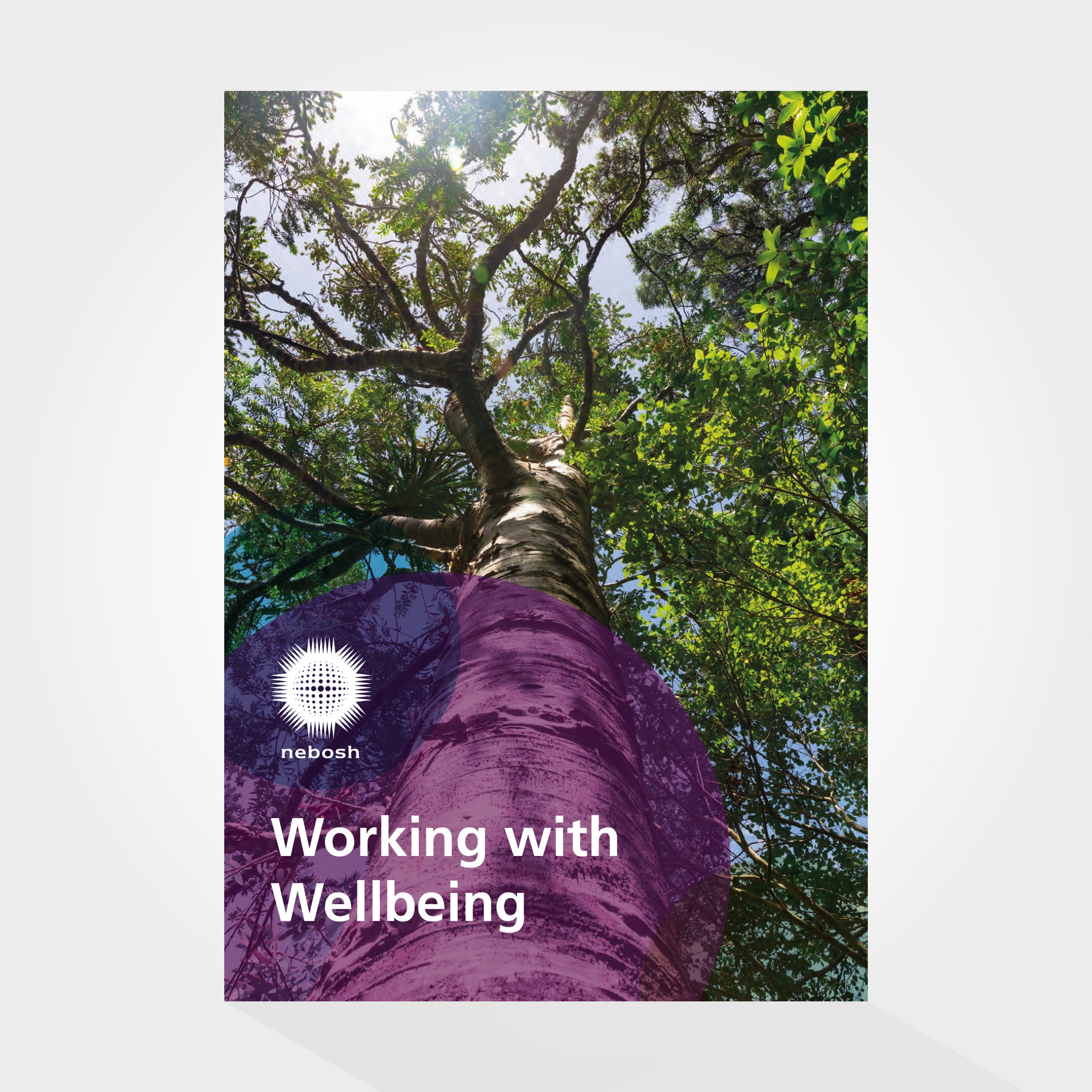 Working with Wellbeing (eBook)